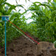 Farm Guard Animal Repellent System - Careway Technologies