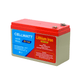 12V 8Ah Lithium Iron Battery - High - Performance Power Solution - Careway Technologies