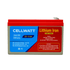 12V 8Ah Lithium Iron Battery - High-Performance Power Solution