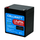 6V 5Ah LiFePO4 Lithium Battery for Solar Lights, Toys, Emergency Lamps, DIY Projects & Backup Power - Careway Technologies