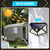 Solar Motion Sensor LED Wall Light